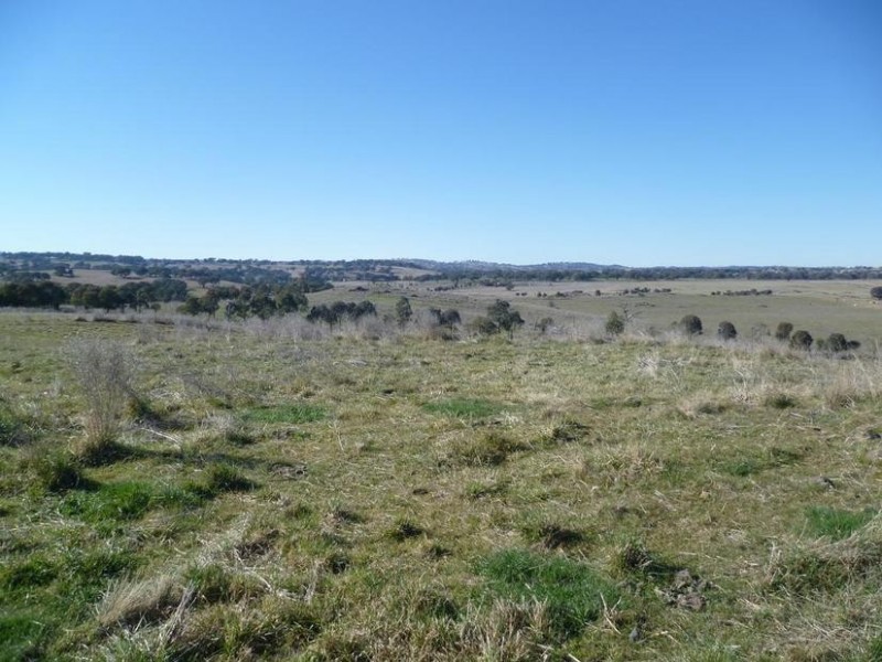 104 Yuranigh Road, Molong NSW 2866