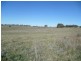 104 Yuranigh Road, Molong NSW 2866