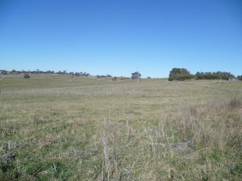 104 Yuranigh Road, Molong NSW 2866