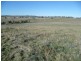 104 Yuranigh Road, Molong NSW 2866