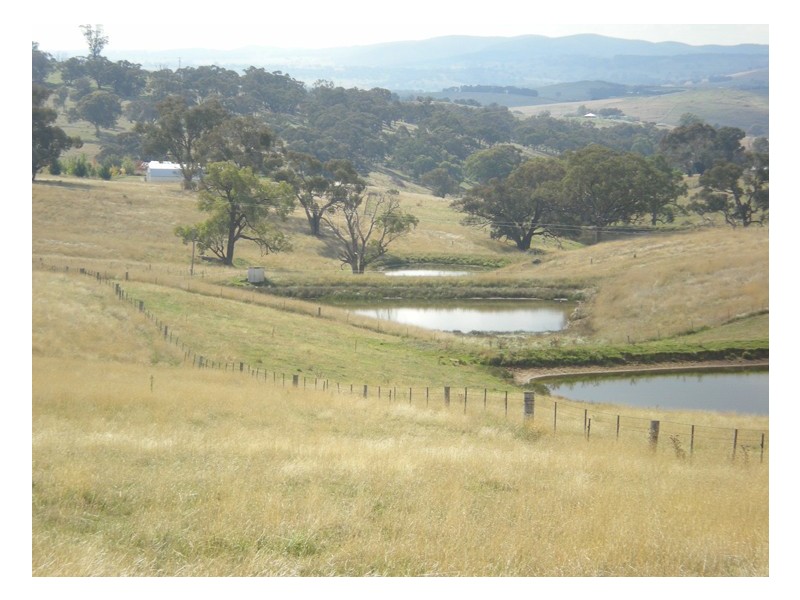 - Griffin Road, Orange NSW 2800
