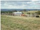 - Griffin Road, Orange NSW 2800