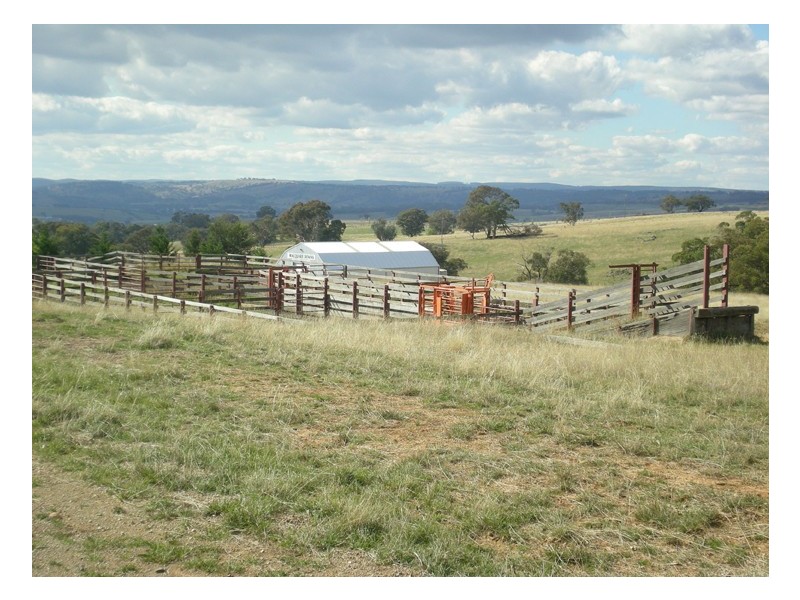 - Griffin Road, Orange NSW 2800