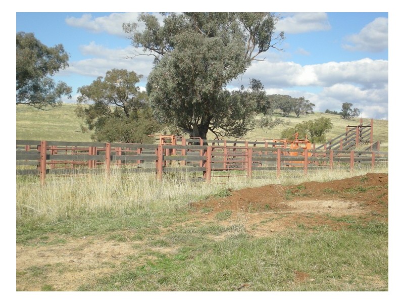 - Griffin Road, Orange NSW 2800