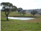 - Griffin Road, Orange NSW 2800