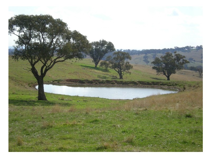 - Griffin Road, Orange NSW 2800