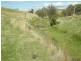 - Griffin Road, Orange NSW 2800