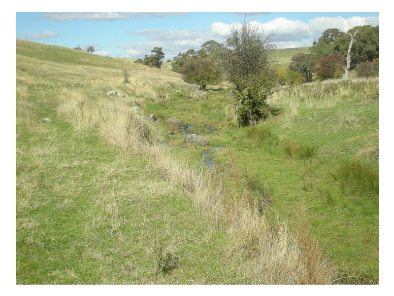 - Griffin Road, Orange NSW 2800