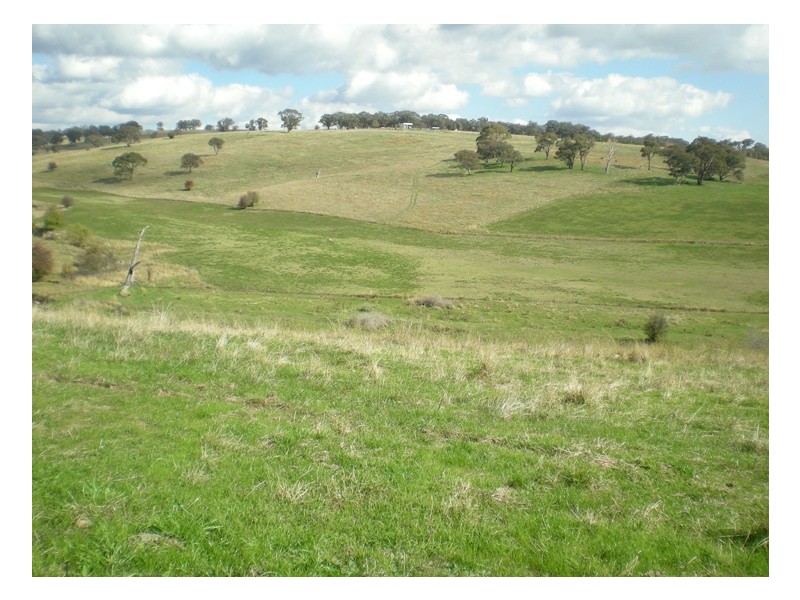 - Griffin Road, Orange NSW 2800