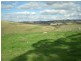 - Griffin Road, Orange NSW 2800