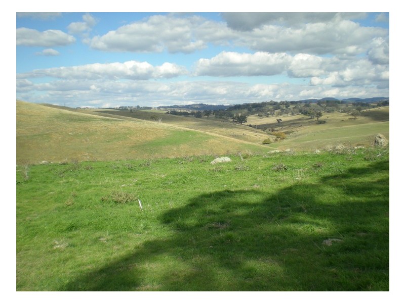 - Griffin Road, Orange NSW 2800