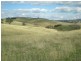 - Griffin Road, Orange NSW 2800