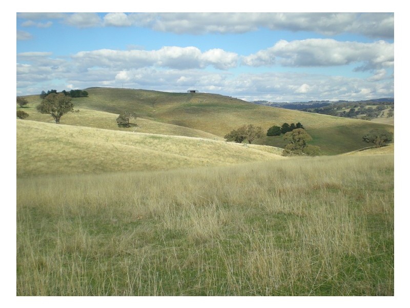 - Griffin Road, Orange NSW 2800