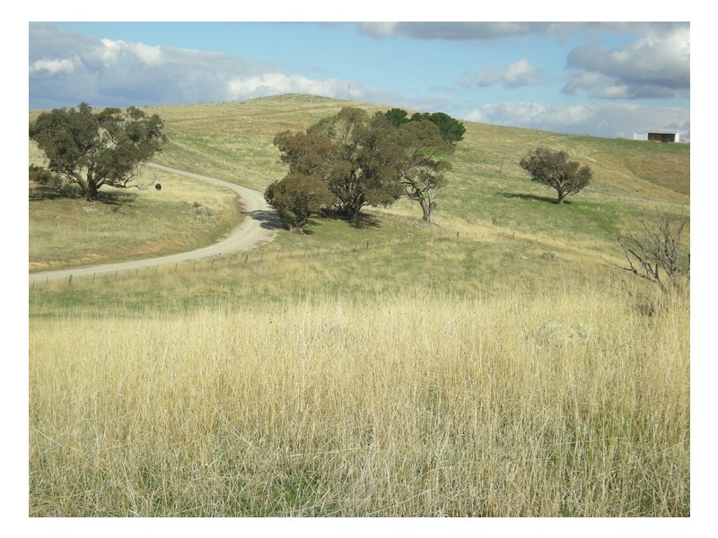 - Griffin Road, Orange NSW 2800