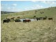 - Griffin Road, Orange NSW 2800