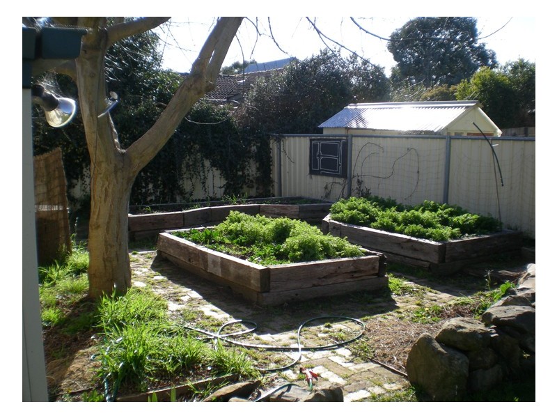 11 Crowson Street, Millthorpe NSW 2798