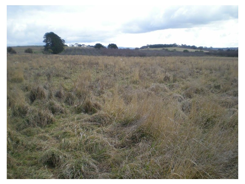 21 Wells Road, Shadforth NSW 2800