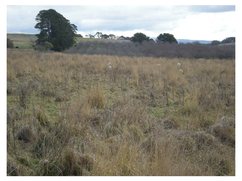 21 Wells Road, Shadforth NSW 2800