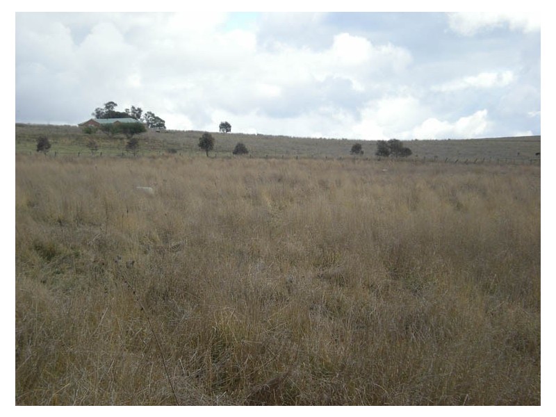 21 Wells Road, Shadforth NSW 2800