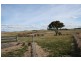 161 Charles Booth Way, Millthorpe NSW 2798