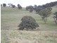 Lot 3, – Emu Swamp Road, Lucknow NSW 2800