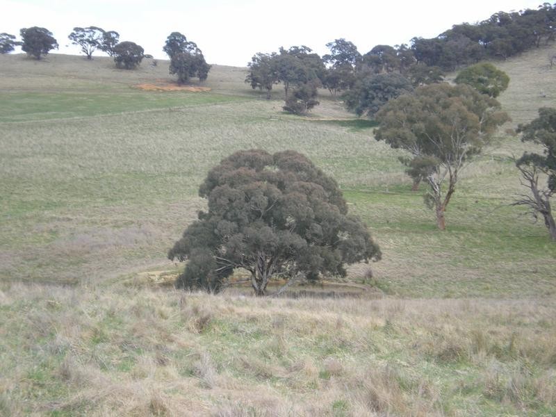Lot 3, – Emu Swamp Road, Lucknow NSW 2800