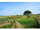 161 Charles Booth Way, Millthorpe NSW 2798