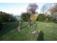 316 Anson Street, Orange NSW 2800