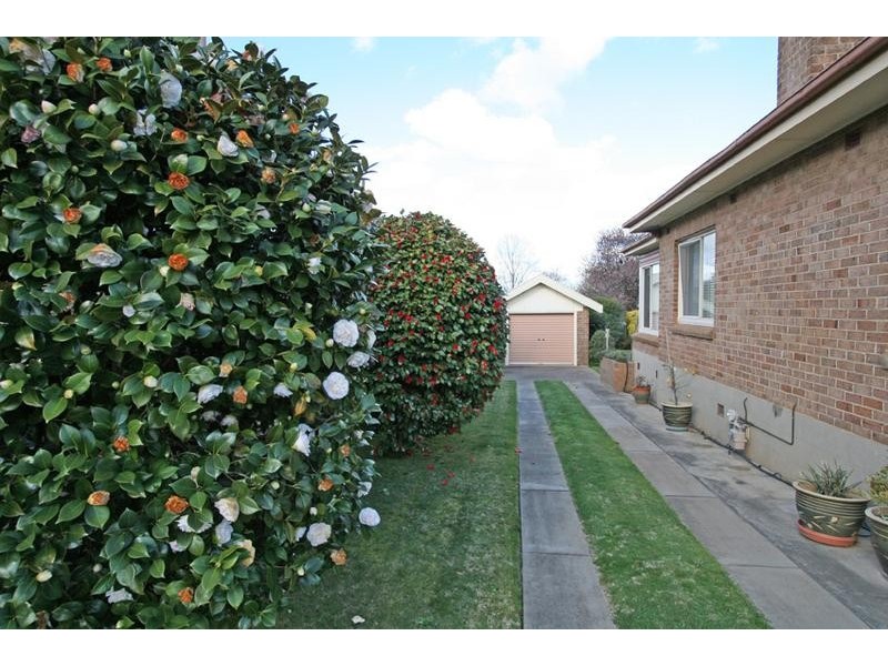 316 Anson Street, Orange NSW 2800