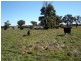 90 Sunset Hills Road, Neville NSW 2799