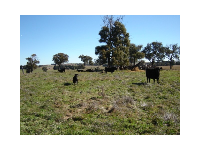 90 Sunset Hills Road, Neville NSW 2799