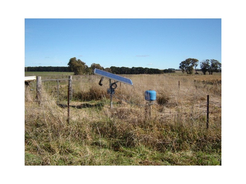 90 Sunset Hills Road, Neville NSW 2799