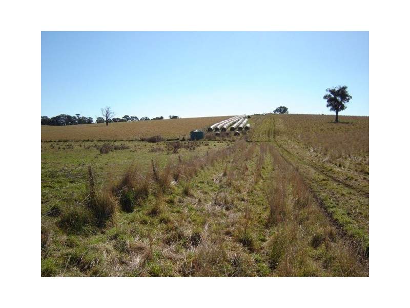 90 Sunset Hills Road, Neville NSW 2799