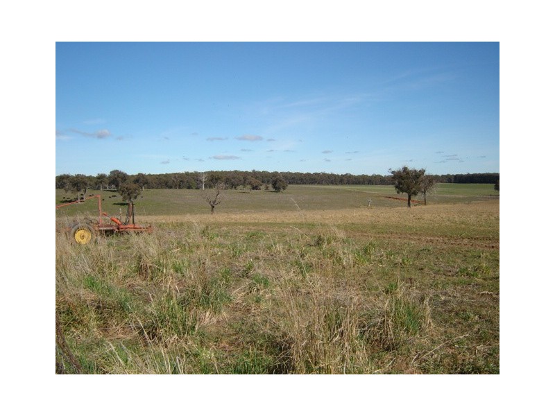 90 Sunset Hills Road, Neville NSW 2799