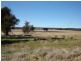 90 Sunset Hills Road, Neville NSW 2799