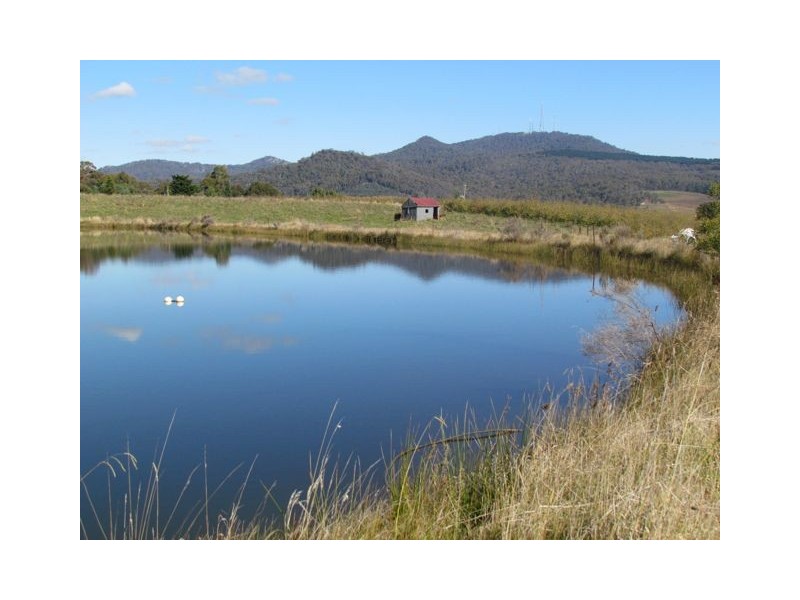 683 Canobolas Road, Orange NSW 2800