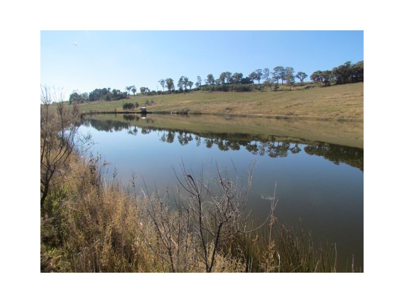 683 Canobolas Road, Orange NSW 2800