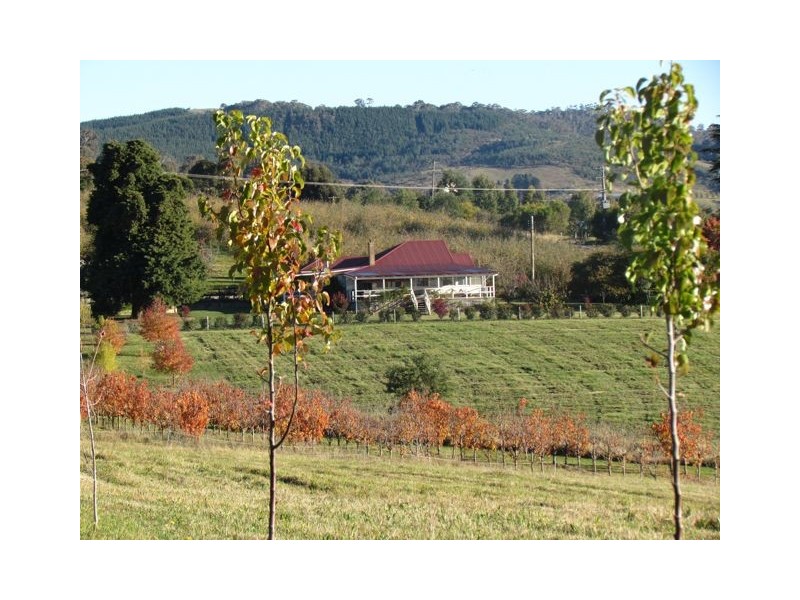 683 Canobolas Road, Orange NSW 2800