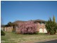 19 Polona Street, Blayney NSW 2799