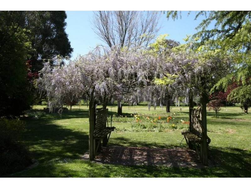 - Dairy Creek Road, Orange NSW 2800