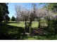 - Dairy Creek Road, Orange NSW 2800