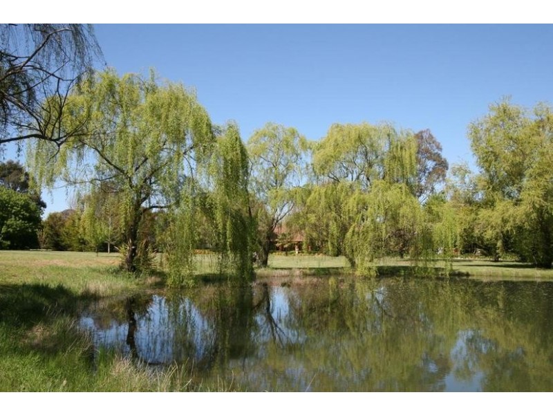 - Dairy Creek Road, Orange NSW 2800