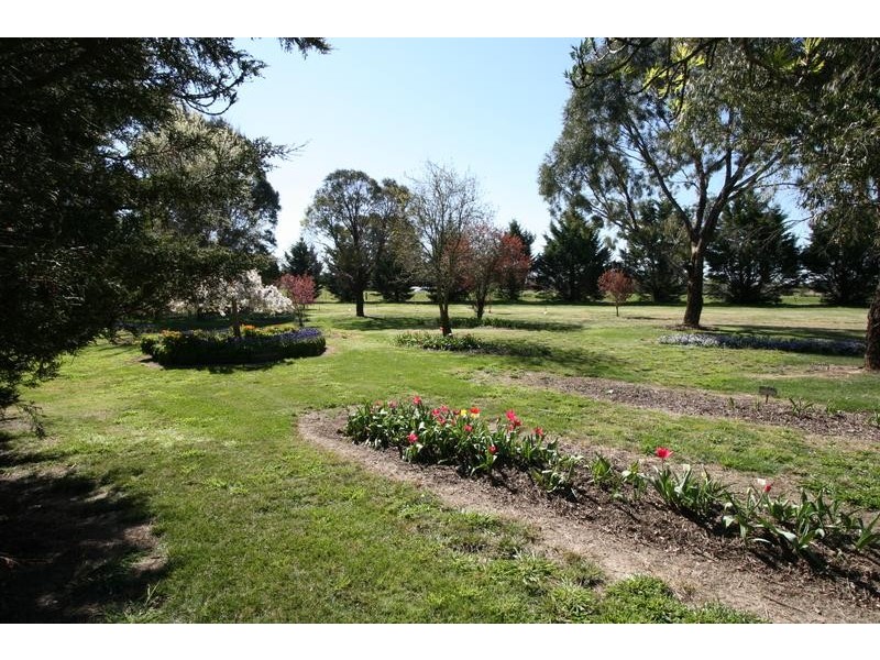 - Dairy Creek Road, Orange NSW 2800