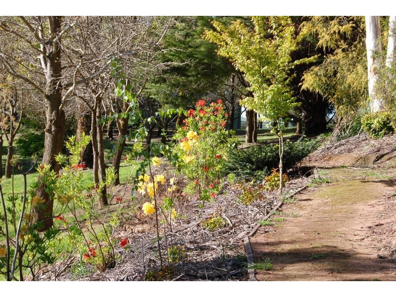 2868 Hobbys Yards Road, Blayney NSW 2799