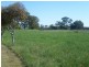 00 Euchareena Road, Molong NSW 2866