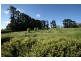 16 Carthew Road, Orange NSW 2800