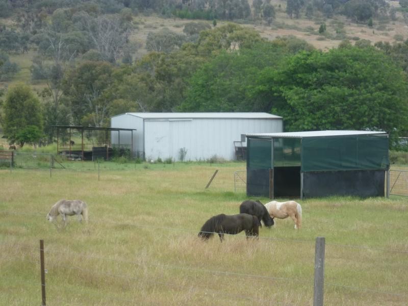 32 Rosamel, Molong NSW 2866