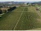 613 Cargo Road, Orange NSW 2800