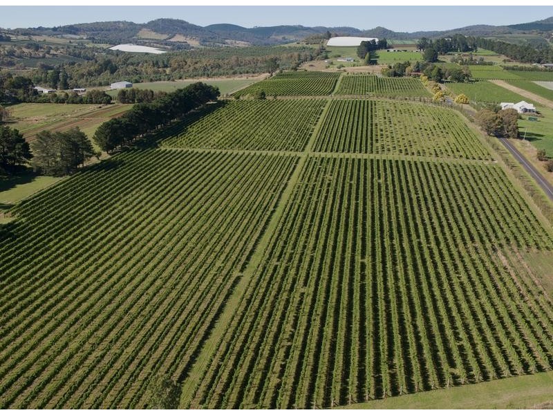 613 Cargo Road, Orange NSW 2800