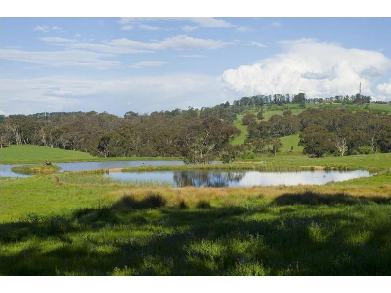 613 Cargo Road, Orange NSW 2800